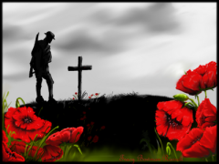 REmembrance flanders field