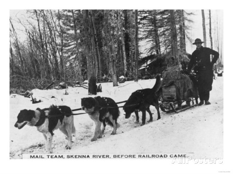 dog-sled-mail-delivery-team-photograph-british-columbia-canada
