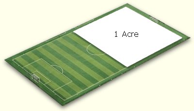 football_pitch_acre2